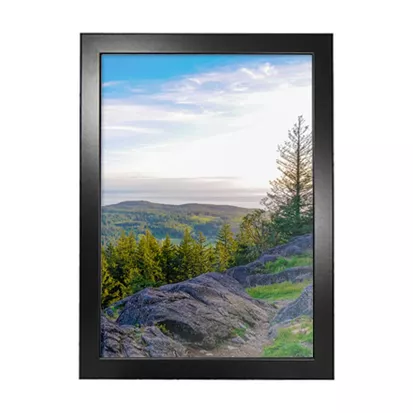 Image of black A1 poster frame